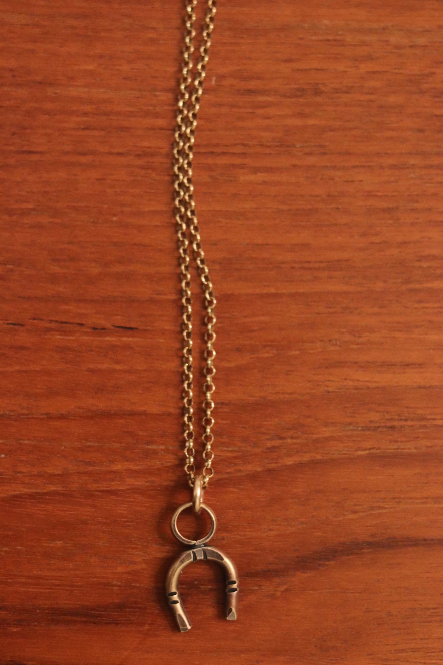 Horse Shoe Necklace // brass x 14 kt gold chain